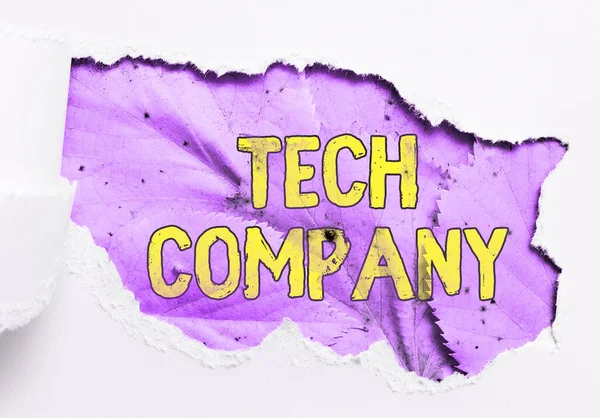 Inspiration Visar Tecken Tech Company Business Visar Upp Ett Företag — Stockfoto