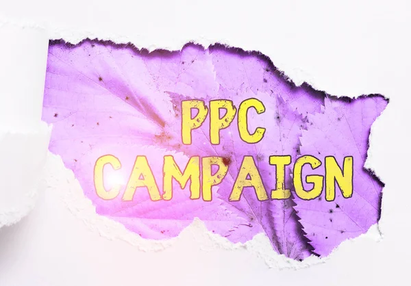 Konceptvisning Ppc Campaign Business Approach Använder Ppc För Att Marknadsföra — Stockfoto