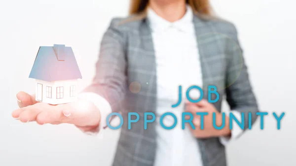 Texto Caligrafia Job Opportunity Business Abordagem Uma Oportunidade Emprego Chance — Fotografia de Stock