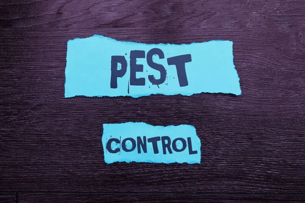Conceptual Display Pest Control Internet Concept Zabíjení Destruktivního Hmyzu Který — Stock fotografie