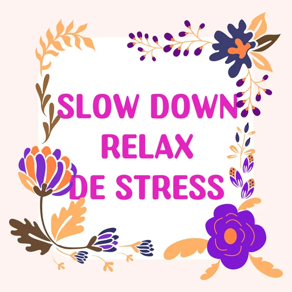 Text Sign Showing Slow Relax Stress Word Written Have Break — Foto de Stock