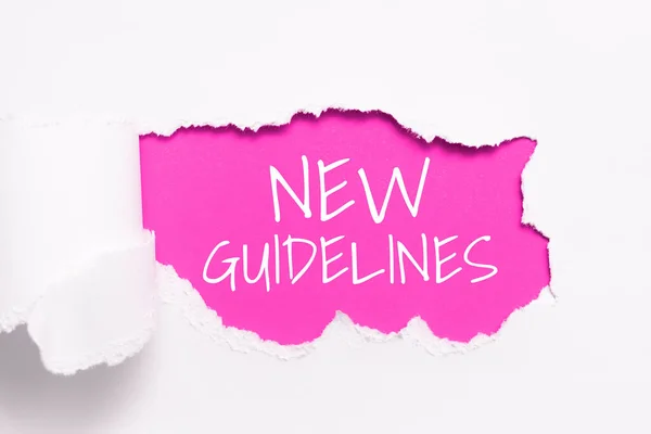 Text Sign Showing New Guidelines Business Approach New List Goals — Stock Photo, Image