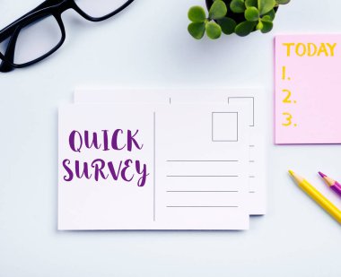 Conceptual display Quick Survey, Internet Concept Conduct fast check on condition value situation of something