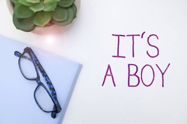 Conceptual caption It S A Boy, Business concept Expecting a male baby cute blue colors a lot of car toys