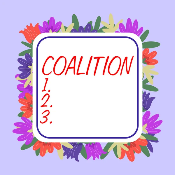 Handschriftlicher Text Koalition Internetkonzept Ein Temporäres Bündnis Unterschiedlicher Parteien Personen — Stockfoto