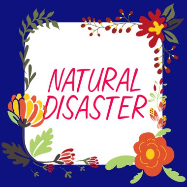 Kavramsal başlık Doğal Felaket, kavramsal fotoğraf doğanın akışında ve doğal nedenlerden meydana geliyor.