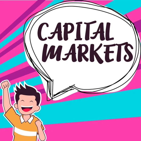 Текстовий Підпис Представляє Capital Markets Інтернет Концепція Дозволяти Підприємствам Збирати — стокове фото