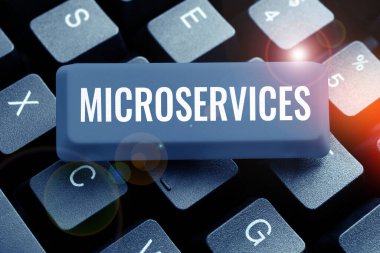 Writing displaying text Microservices, Business showcase Software development technique Building single function module