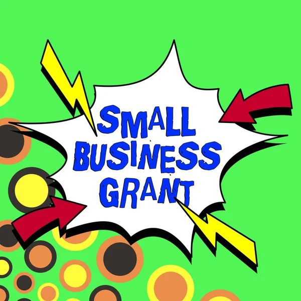 Cartello Visualizzazione Small Business Grant Business Panoramica Una Singola Azienda — Foto Stock
