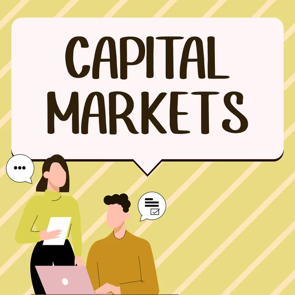 Текстовий Підпис Представляє Capital Markets Інтернет Концепція Дозволяти Підприємствам Збирати — стокове фото