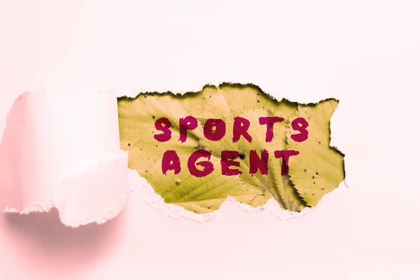 Text caption presenting Sports Agent, Business overview person manages recruitment to hire best sport players for a team