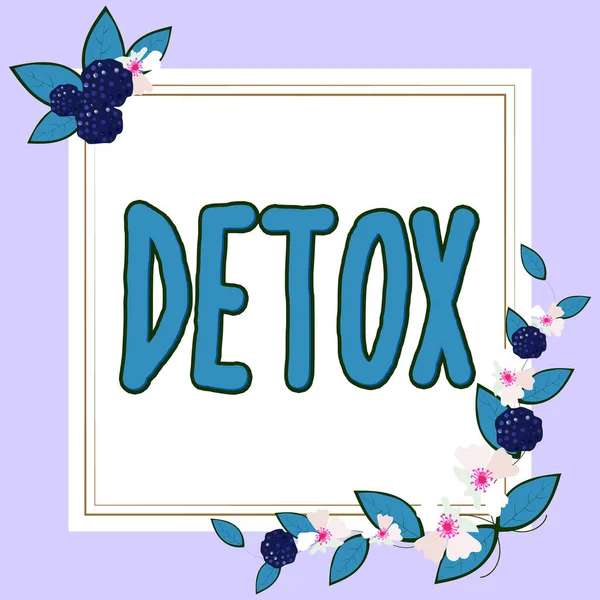 Legenda Texto Apresentando Detox Word Moment Diet Nutrition Health Tratamento — Fotografia de Stock