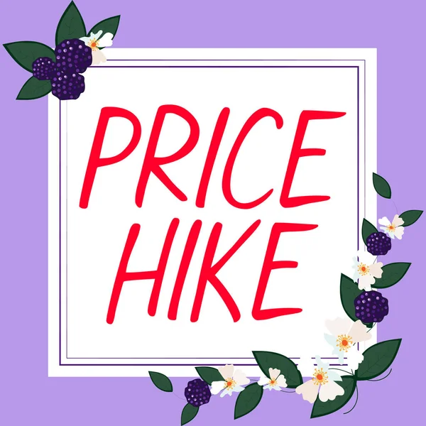 Text Caption Presenting Price Hike Internet Concept Sum Values Customer — Stock Fotó
