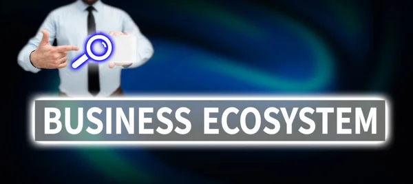 Teken Het Tonen Van Business Ecosystem Business Aanpak Ontwikkelen Implementeren — Stockfoto
