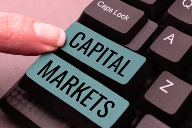 Text showing inspiration Capital Markets, Business idea Allow businesses to raise funds by providing market security