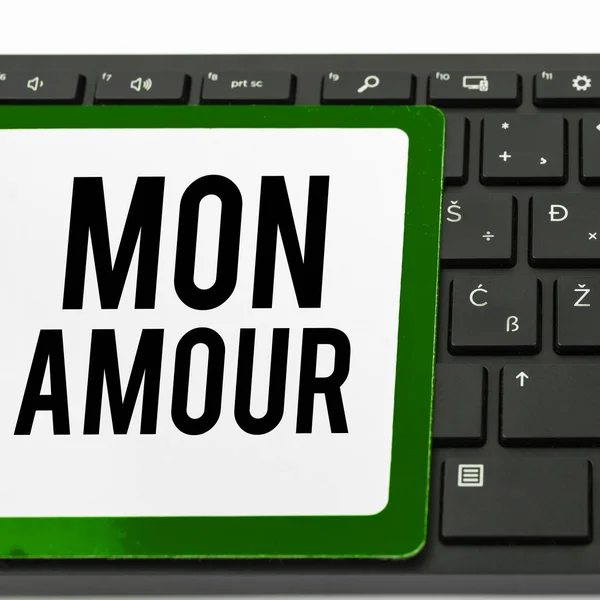 Text Sign Showing Mon Amour Business Overview French Name Lover — стоковое фото