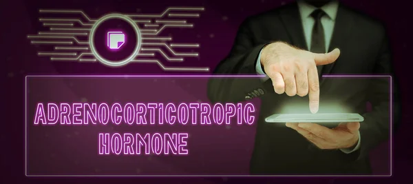 Conceptuele Bijschrift Adrenocorticotrope Hormone Concept Betekenis Hormoon Uitgescheiden Door Hypofyse — Stockfoto