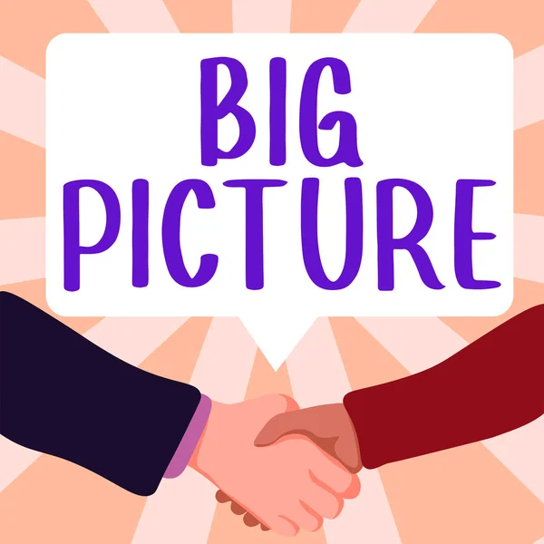 Sign Displaying Big Picture Business Overview Most Important Facts Certain — Stockfoto
