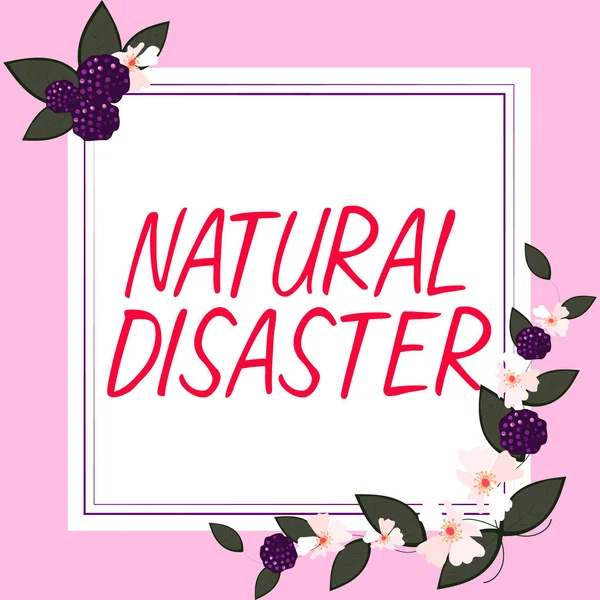 Hand Writing Sign Natural Disaster Business Overview Occurring Course Nature — Foto de Stock