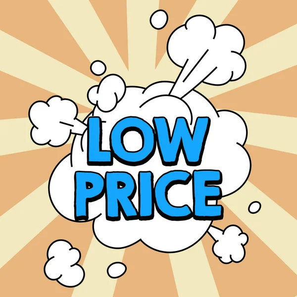 Legenda Conceitual Preço Baixo Visão Geral Negócio Preço Mais Baixo — Fotografia de Stock