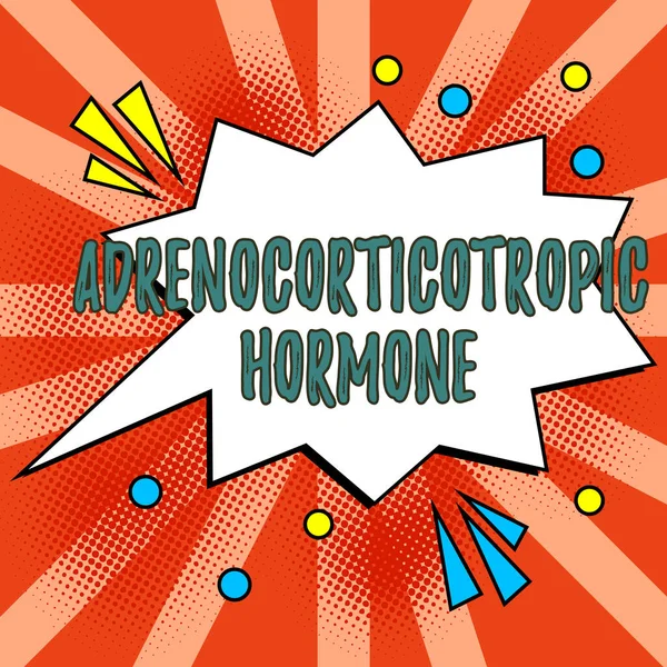 Ručně Psané Znamení Adrenokortikotropní Hormon Koncept Znamená Hormon Vylučovaný Mozkovou — Stock fotografie