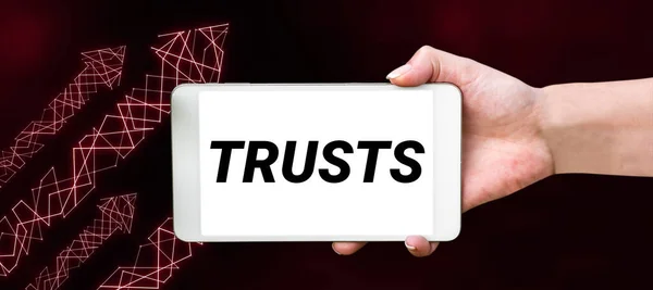 Texto Mostrando Inspiração Confiança Internet Concept Firme Crença Confiabilidade Verdade — Fotografia de Stock