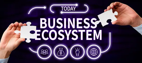 Conceptual Caption Business Ecosystem Word Written Develop Implement Organization Growth — Foto de Stock