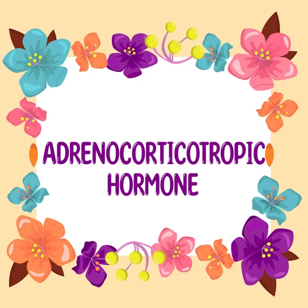 脳下垂体皮質によって分泌されるホルモンの概念であるアドレノコトロピックホルモンを示すテキストキャプション — ストック写真
