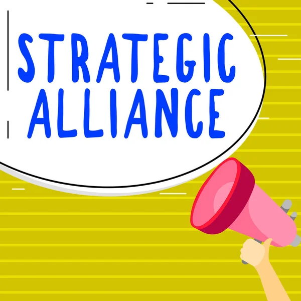 Концептуальне Відображення Стратегічний Альянс Бізнес Підхід Язок Між Державами Партіями — стокове фото