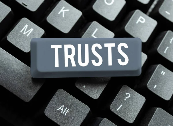 Sinal Texto Mostrando Confiança Conceito Internet Firme Crença Confiabilidade Verdade — Fotografia de Stock