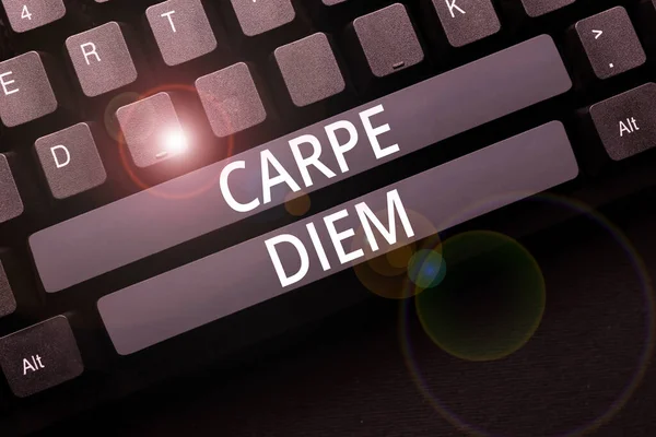 Writing Displaying Text Carpe Diem Word Public Festival Which People — Stockfoto