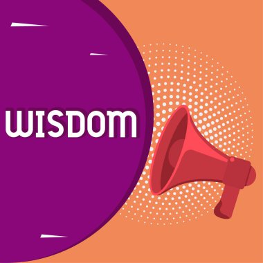 Kavramsal manşet, bilgelik, iş konsepti, tecrübe sahibi olmak ve iyi muhakeme.