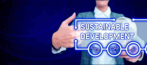 Nachhaltige Entwicklung Geschäftsübersicht Über Die Fähigkeit Aufrechterhalten Unterstützt Unterstützt Oder — Stockfoto