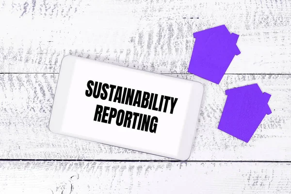 Writing displaying text Sustainability Reporting, Word Written on give information economic environmental performance