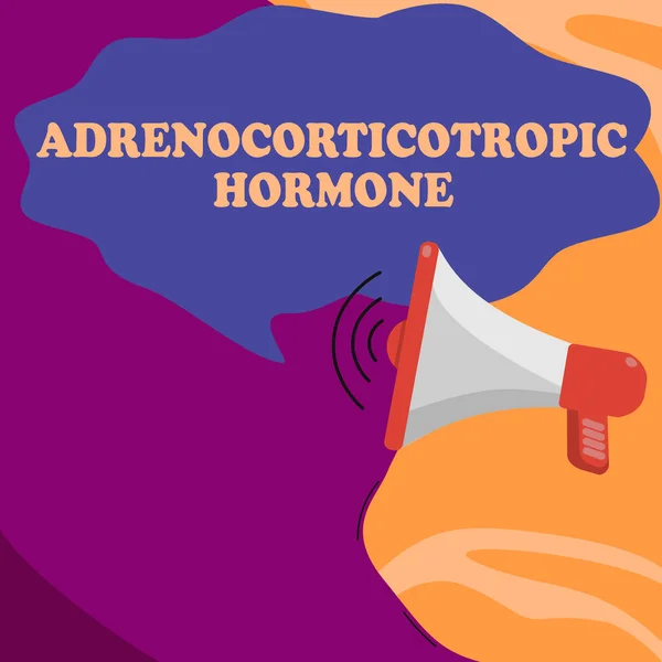 Koncepční Popisek Adrenokortikotropní Hormon Koncepční Foto Hormon Vylučovaný Kůrou Mozkovou — Stock fotografie