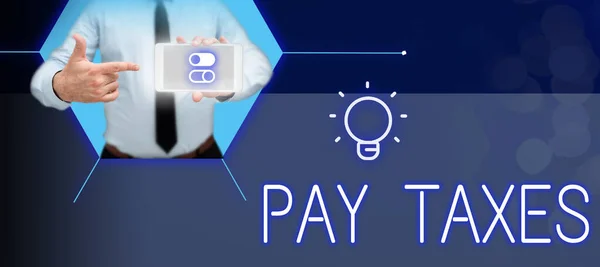 Sinal Texto Mostrando Pay Taxes Internet Conceito Processamento Tributação Contabilidade — Fotografia de Stock