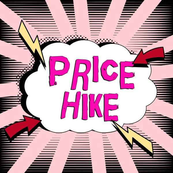 Texto Que Mostra Inspiração Price Hike Business Overview Sum Values — Fotografia de Stock