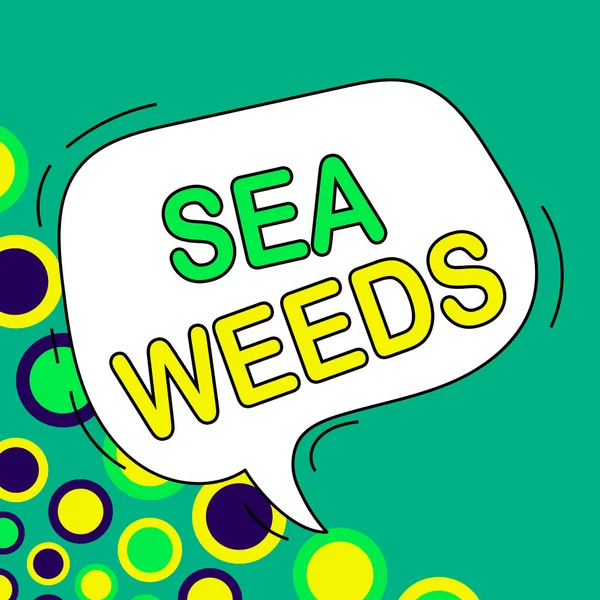 Hand Writing Sign Sea Weeds Word Written Large Algae Growing — Stockfoto