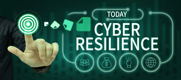 Signo Texto Que Muestra Resiliencia Cibernética Medición Visión General Negocios —  Fotos de Stock