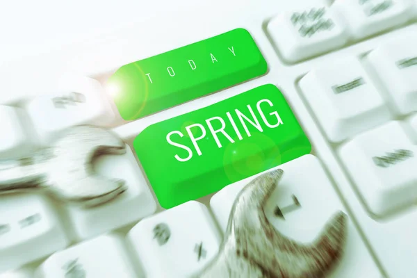 Writing Displaying Text Spring Business Approach Season Winter Which Vegetation — Stock Photo, Image
