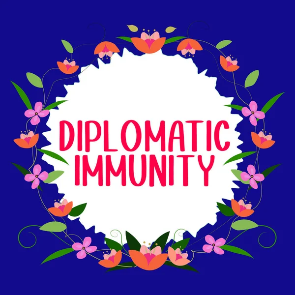 Tekenen Met Diplomatieke Immuniteit Business Idee Wet Die Buitenlandse Diplomaten — Stockfoto