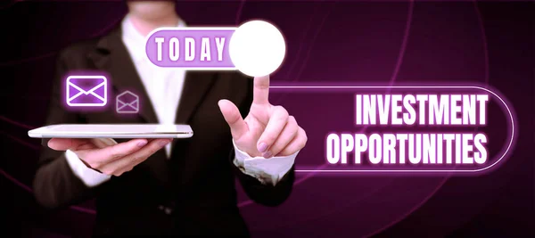 Text showing inspiration Investment Opportunities, Word Written on a Purchase that has a chance to Gain Value