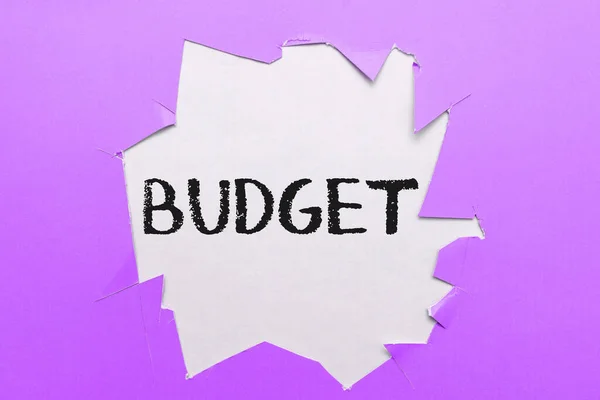 Написание Текста Бюджет Обзор Бизнеса Определенная Оценка Доходов Расходов Определенный — стоковое фото