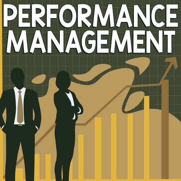Text Sign Showing Performance Management Business Overview Improve Employee Effectiveness — Stock Photo, Image