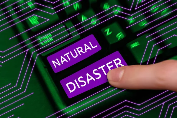 自然災害を示すテキスト記号 自然と自然災害の過程で発生するビジネスショーケース — ストック写真