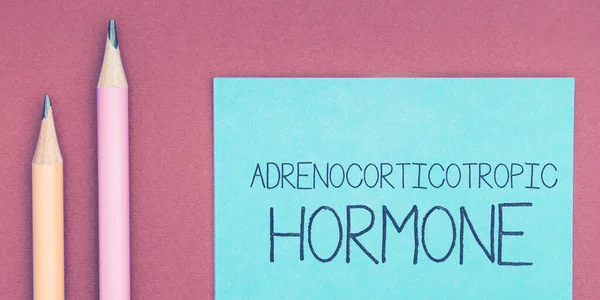 Znak Tekstowy Pokazujący Hormon Adrenokortykotropowy Koncepcja Oznaczająca Hormon Wydzielany Przez — Zdjęcie stockowe