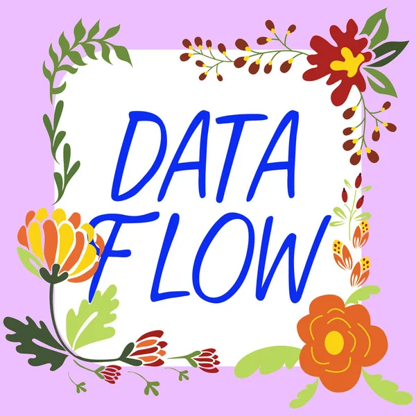 Text Sign Showing Data Flow Business Overview Movement Data System — Stock Photo, Image