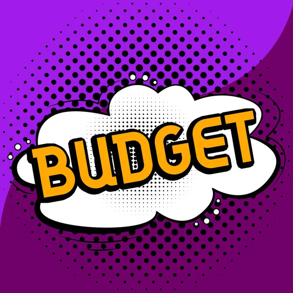 Text Caption Presenting Budget Business Concept Defined Estimate Income Expenditure — Stock fotografie