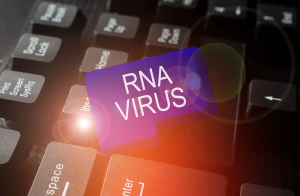 Conceptual display Rna Virus, Internet Concept a virus genetic information is stored in the form of RNA