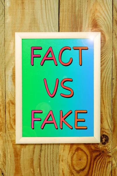 Sign Displaying Fact Fake Word Written True False Doubt Something — Stock fotografie